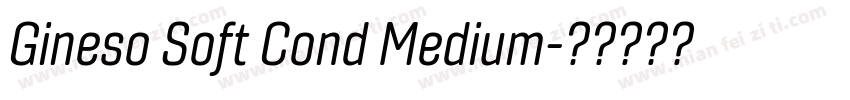 Gineso Soft Cond Medium字体转换